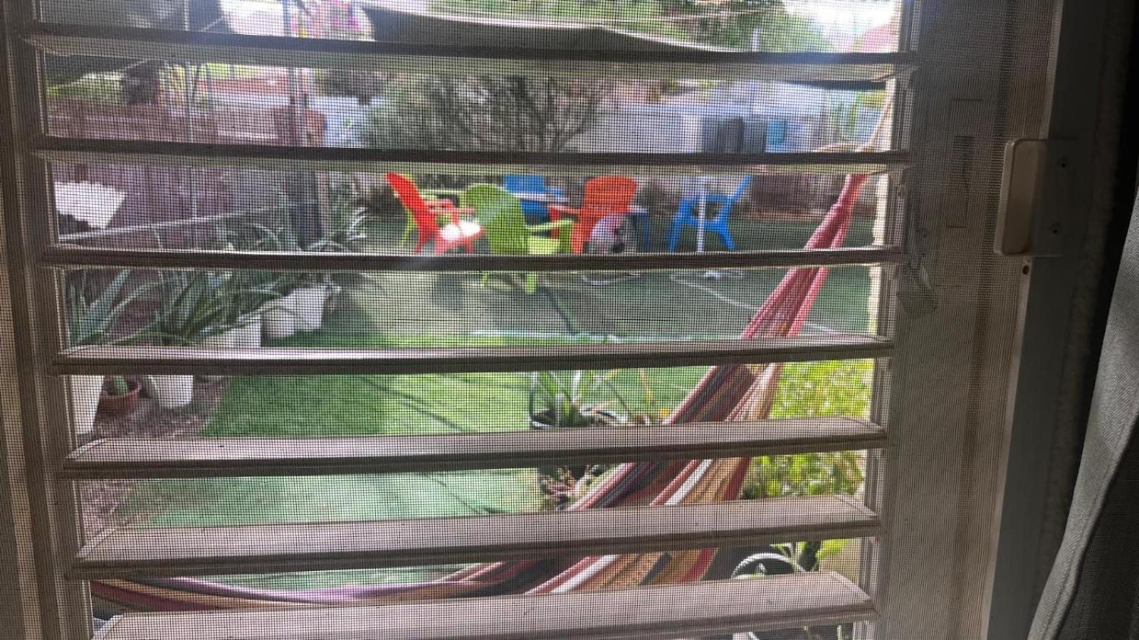 The Lowest Place On Earth B&B Neot HaKikar Bagian luar foto